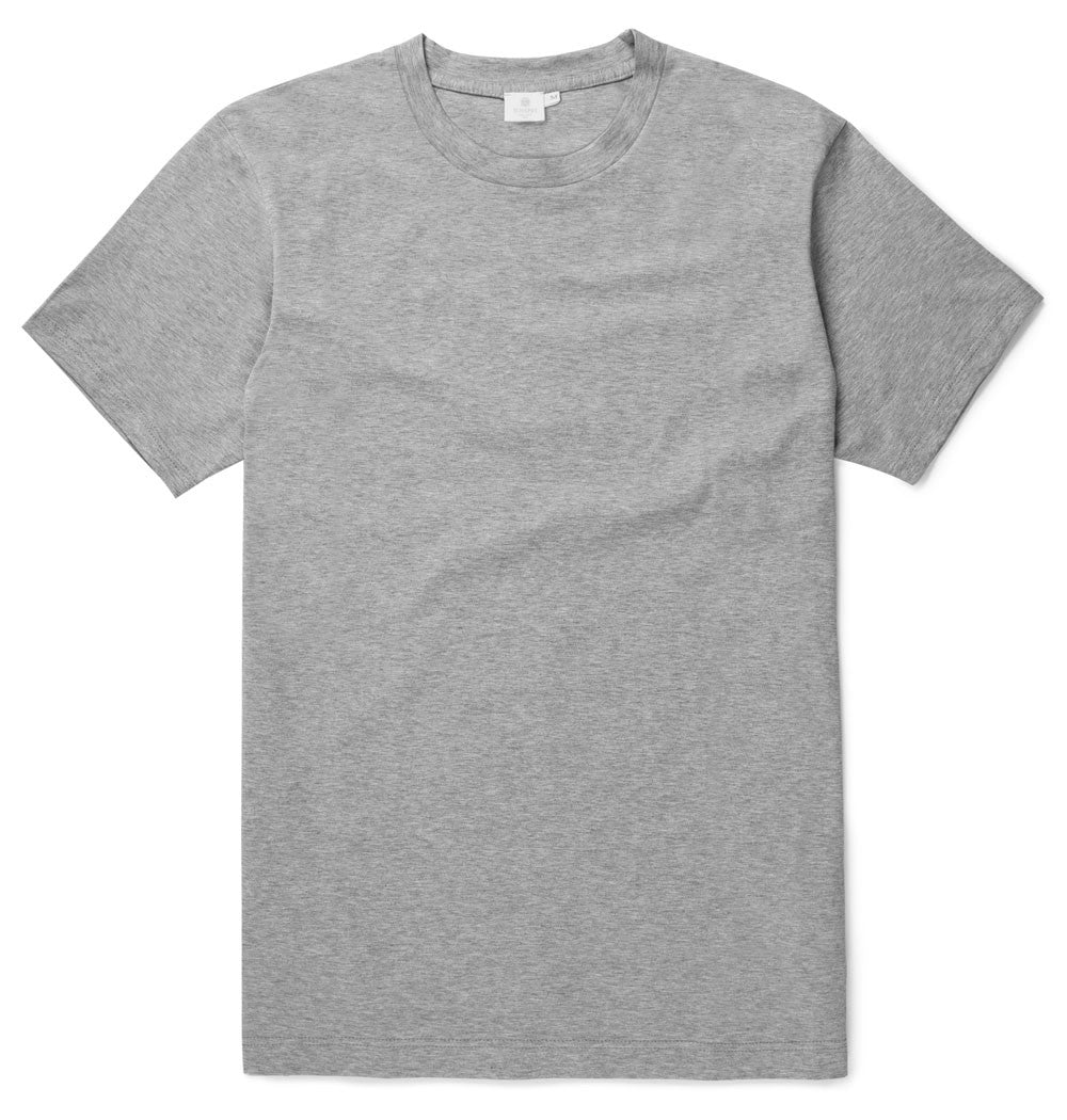 Gray T-Shirt